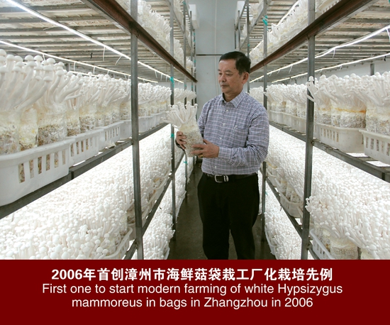 研究所首创＝海鲜菇