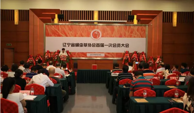 QQ截图20170808090506