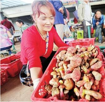 QQ截图20170808091733