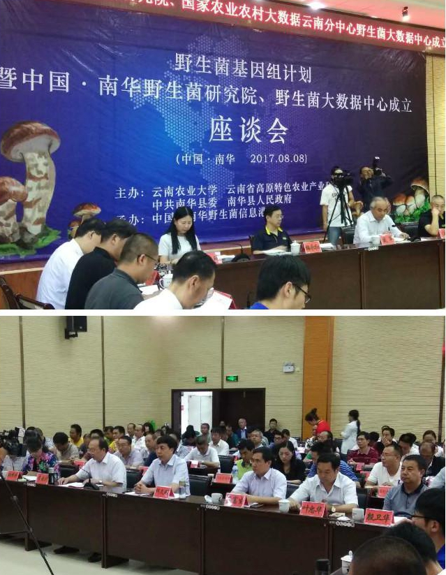 P_1543590_0__1664618940