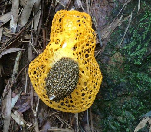 QQ截图20170829105453