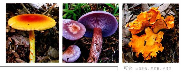 1609qb04102_11_03900