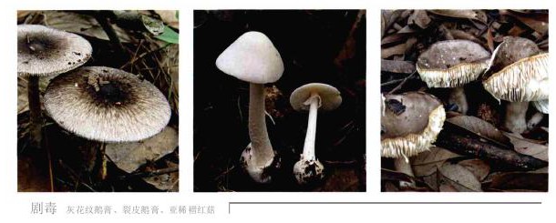 1609qb04102_11_02800