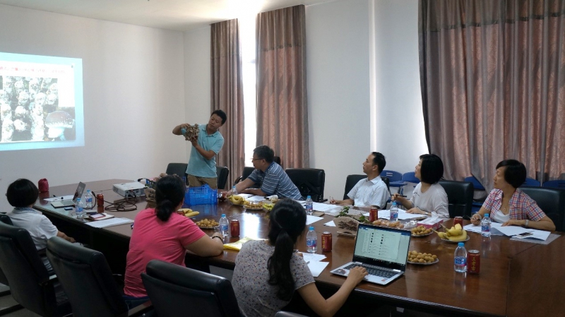 Editor_201783113518312