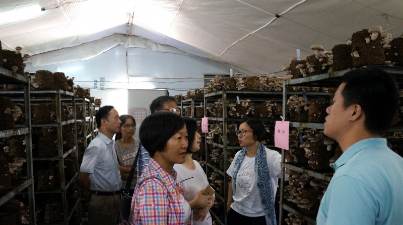 Editor_201783113528924