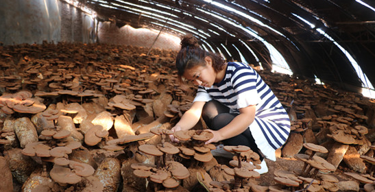 QQ截图20170906085332