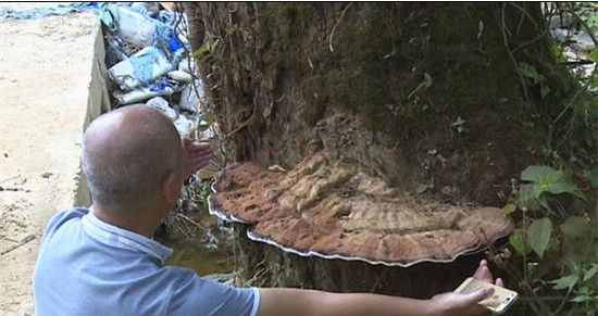 QQ截图20170907101634