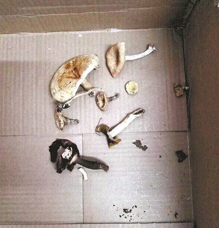 QQ截图20170915145227