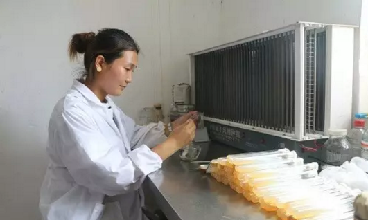 QQ截图20170918093135