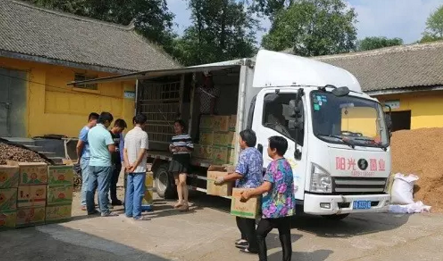 QQ截图20170918093146