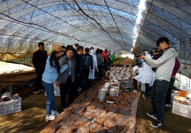 u=268130481,3365950166&fm=173&s=3E70458588538EC634C07514030030C3&w=640&h=446&img