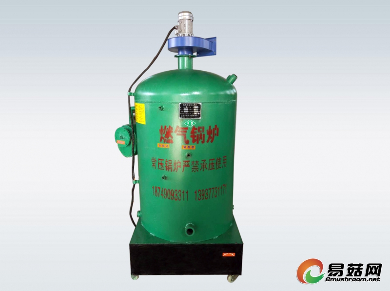 燃气锅炉宽