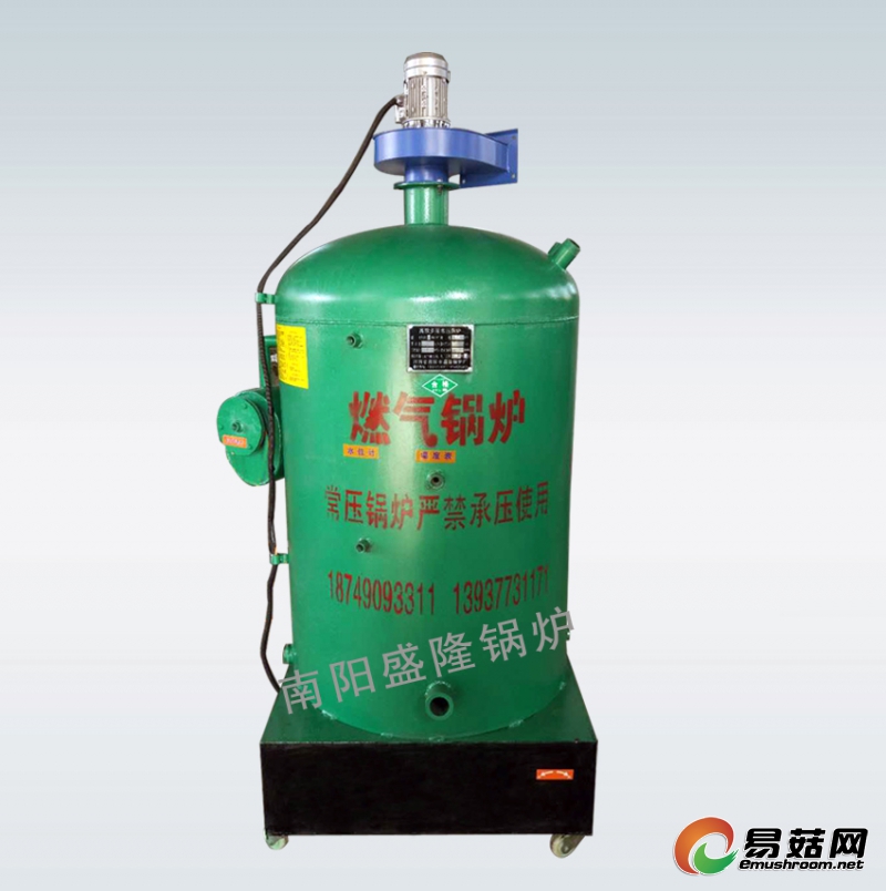 燃气锅炉副本高水印