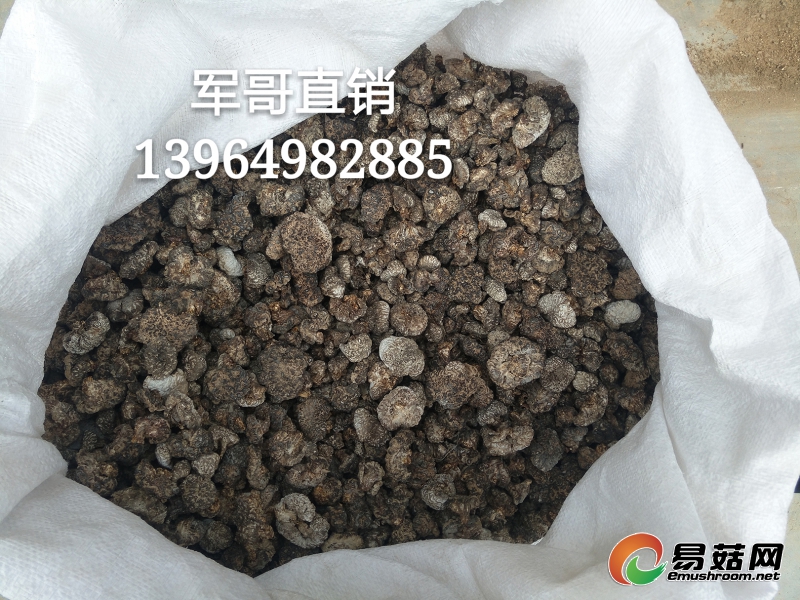 IMG20170320134020_mh1490096835000