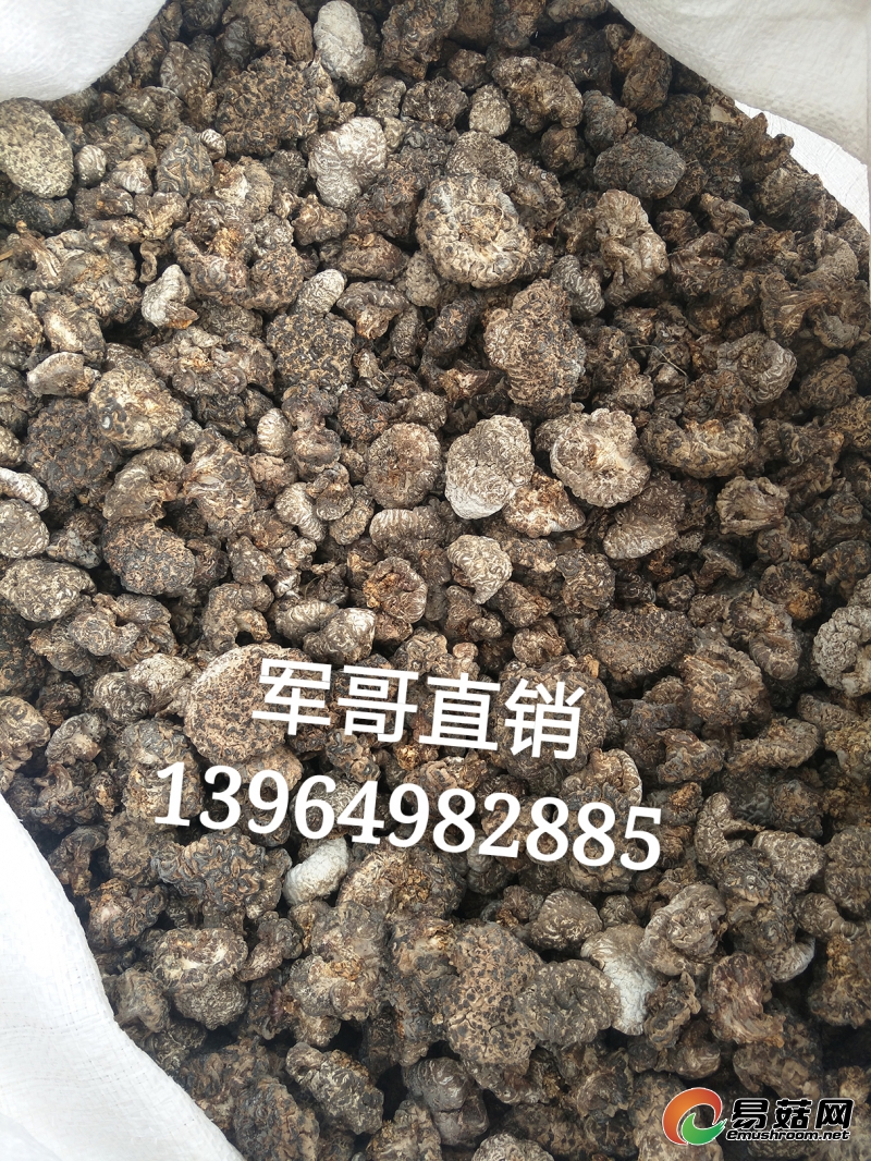 IMG20170320134018_mh1490096805869