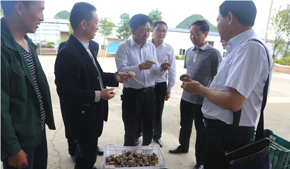 QQ截图20171012141928