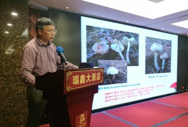 QQ截图20171018084312