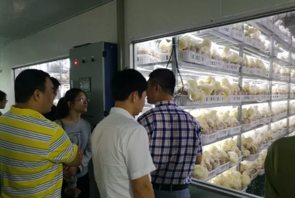 QQ截图20171018084843