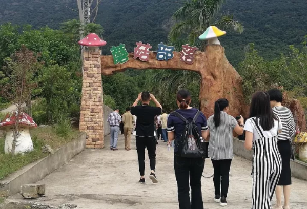 QQ截图20171018084908