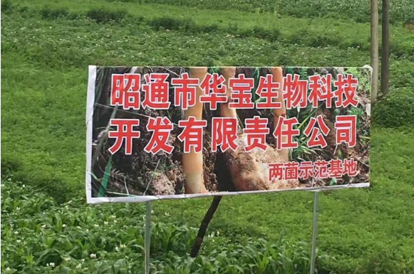 QQ截图20171018101504