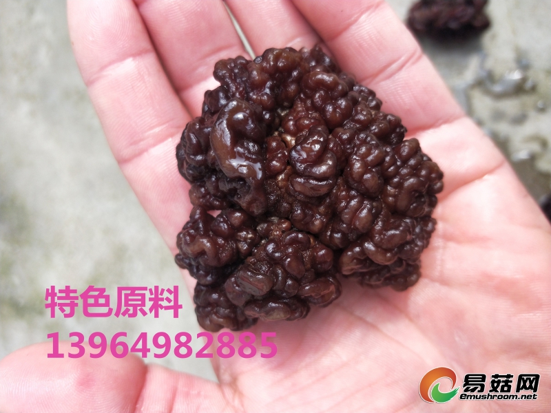 IMG20171019110154_副本