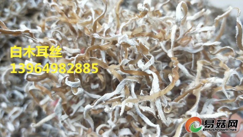 wx_camera_1508833080143_副本