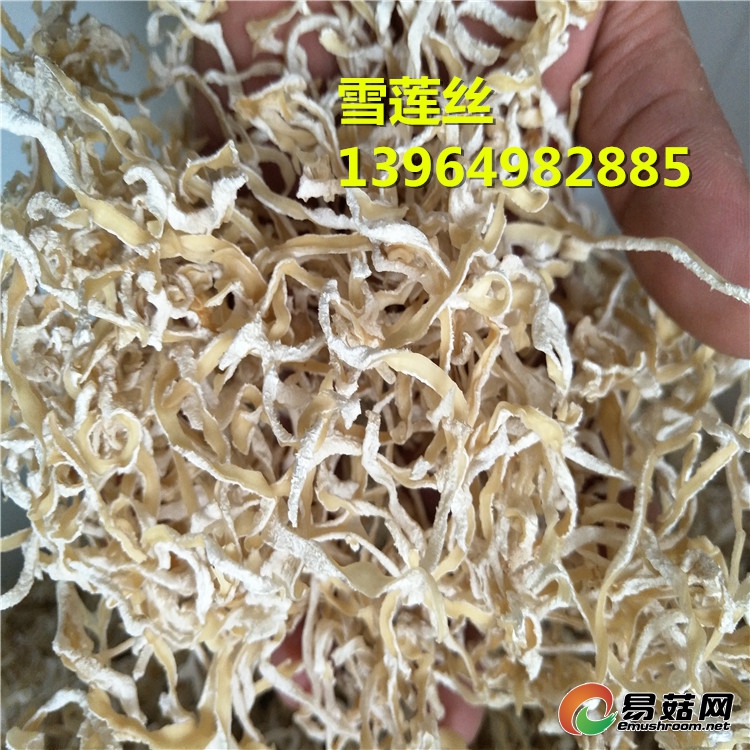 IMG20170421140849_副本