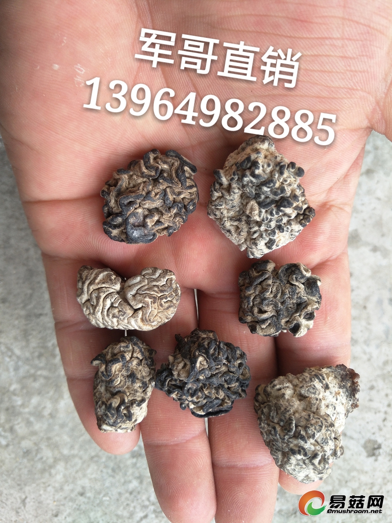 IMG20170613074350_mh1497482033558