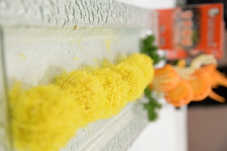 小草坝天麻烹饪美食品鉴会 (1)