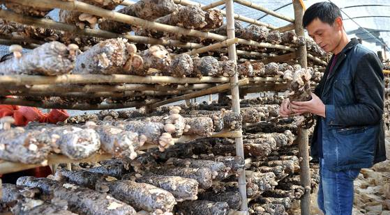 QQ截图20171107092428