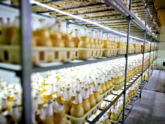 00302769110_2bb6ab0a