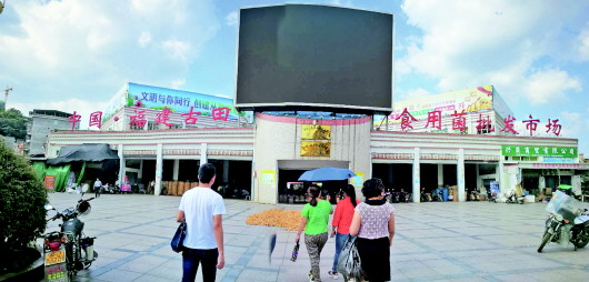 00302769115_53ad3d40