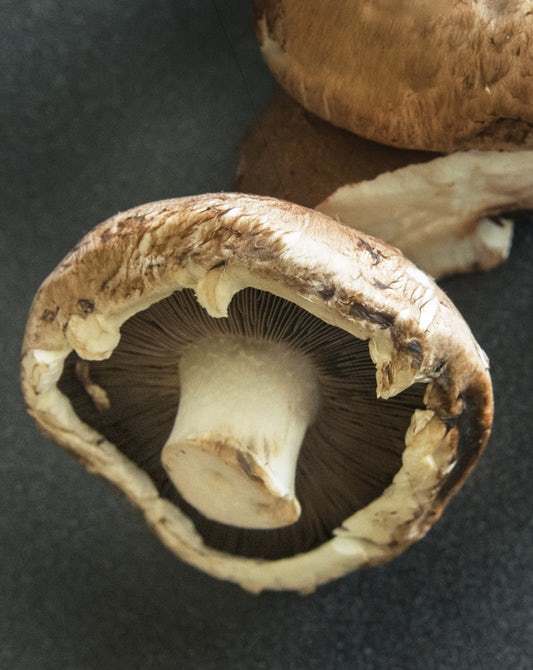 u=529694595,3954216334&fm=173&s=BAB277C94C5737D6061D8C3903005052&w=533&h=670&img