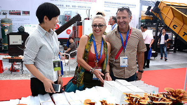 QQ截图20171120101327