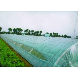 人参膜+耐老化人参膜+人参大棚膜【天瑞】您的正确选择！