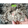 棉籽壳厂家直供,棉渣,废棉,废棉下脚料,中壳中绒,小壳长绒等
