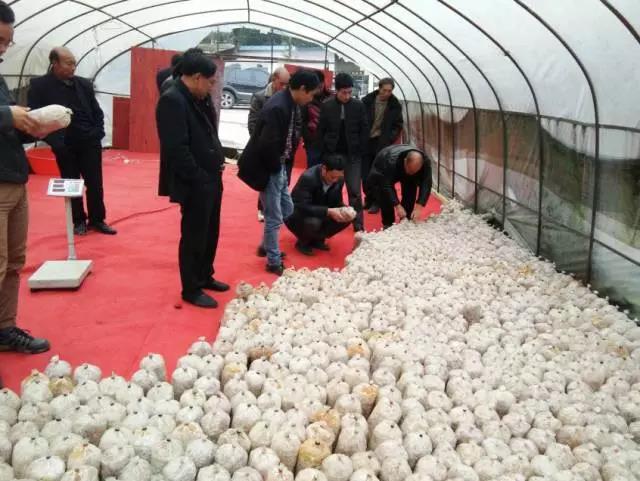 微信图片_20171214083934