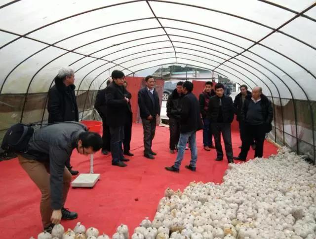 微信图片_20171214083952