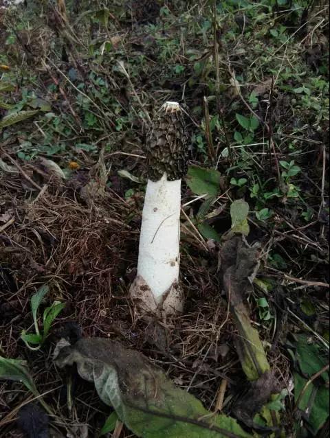 微信图片_20171214083956