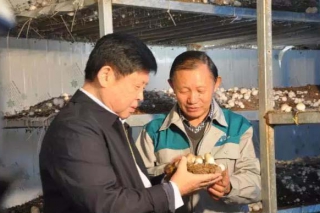 李玉院士对接的两个院士专家工作站被评为2017年度全国示范院士专家工作站 ()