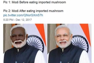 莫迪美白全靠吃台湾蘑菇?！印度和台湾都疯了…… ()