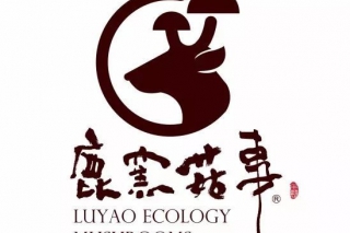 台湾蘑菇品牌鹿窑菇事 ()