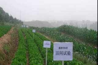 让菌渣“变废为宝”的科技路径 ()