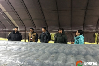 工厂化香菇菌棒生产技术规范标准起草组到辽宁调研 ()