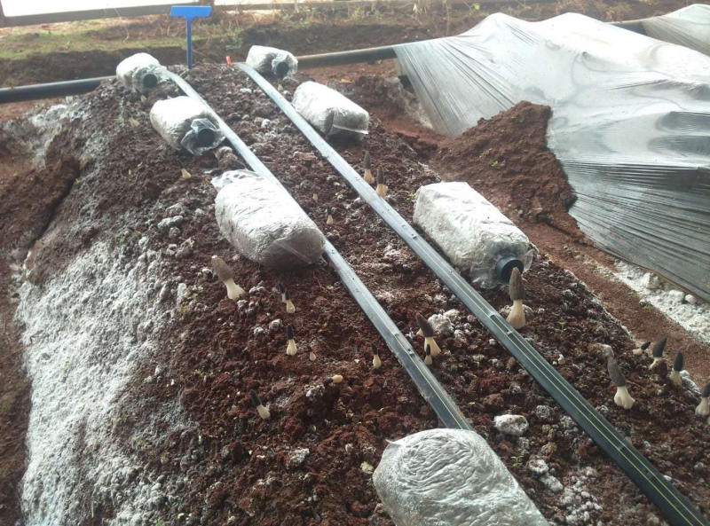 微信图片_20171222155444