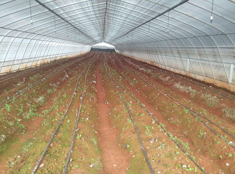 微信图片_20171222155439