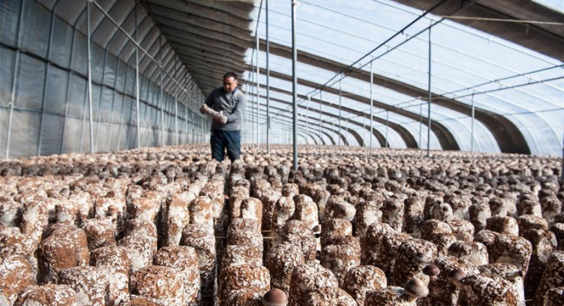 1122162328_15141705037271n