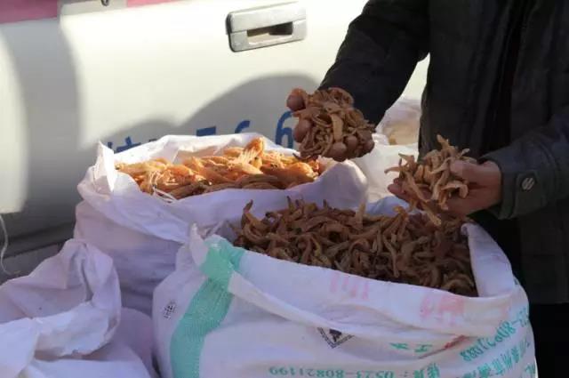 微信图片_20171228111058