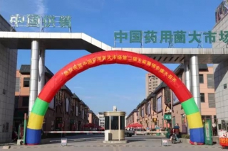 中国药用菌市场第二届天麻展销会金寨举办 ()