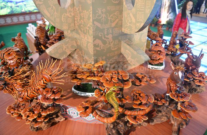 20171228103633021ta_w